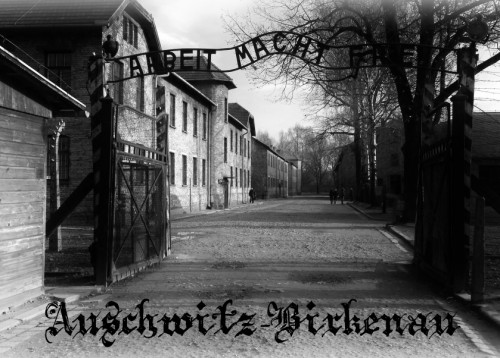 Auschwitz birkenau
